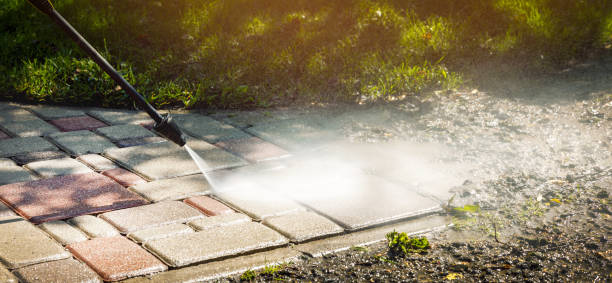 Best Spring Cleaning  in Tenino, WA